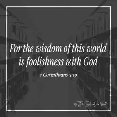 Ivesi leBhayibheli 1 KWABASEKORINTE 3-19 ngokuba ukuhlakanipha kwaleli zwe kungubuwula kuNkulunkulu