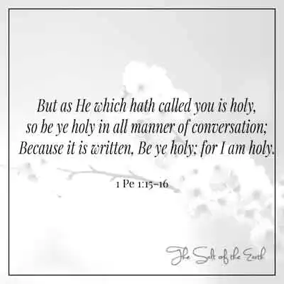 1 Питер 1:15-16 но как призвавший вас свят, так будьте святы во всяком разговоре, потому что написано: будьте святы, ибо Я свят