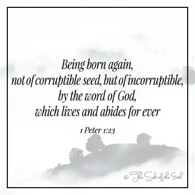 verset de la Bible 1 Pierre 1-21-être né de nouveau non pas d'une semence corruptible mais incorruptible par la parole de Dieu qui vit et demeure pour toujours
