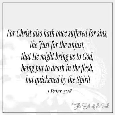 bible verse 1 peter 3-18 for christ also hath once suffered for sins the just for unjust that he might bring us to God being put to death in the flesh but quickened by the spirit