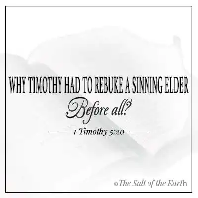 Article title text why Timothy had to rebuke a sinning elder before all