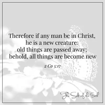 Изображение бабочка на стих цветов и библей 2 Коринфянам 5:17 Если кто -то в Христе - это новое существо, старые вещи скончались