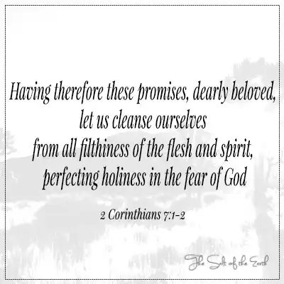 Библейский стих 2 Коринфянам 7-1-2 – Итак, возлюбленные, имея сии обетования, очистим себя от всякой скверны плоти и духа, совершая святыню в страхе Божием.
