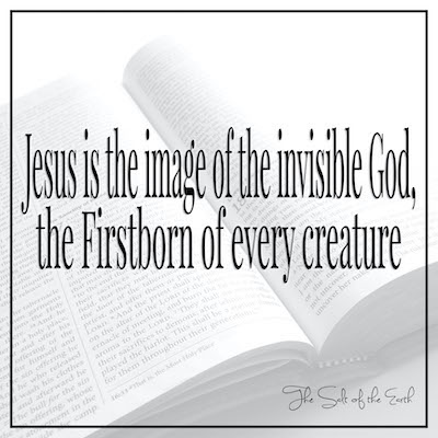 Jesus is the image of the invisible God, Firstborn of every creature