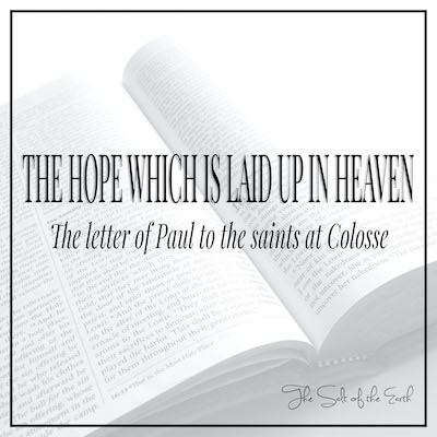 The hope which is laid up in heaven