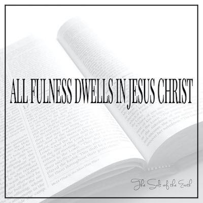 All fulness dwells in Jesus Christ Colossians 1:19-20
