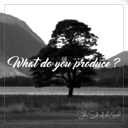 What do you produce? Tree of life