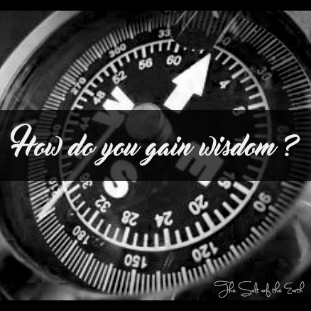 How do you gain wisdom?