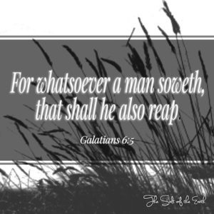What a man soweth he shall reap Galatians 6:5