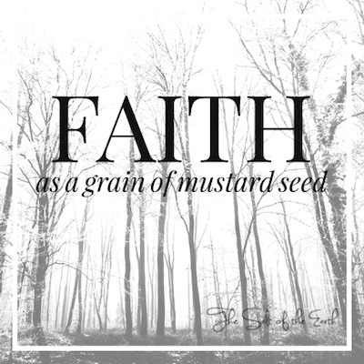 Faith as a grain of mustard seed