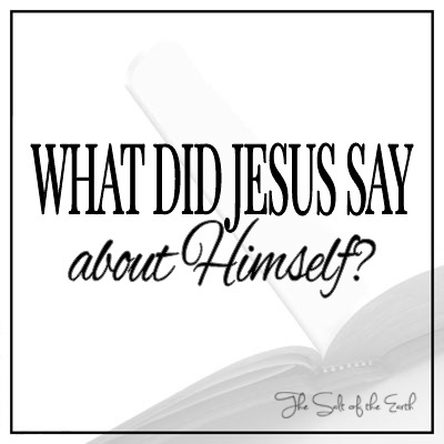 What did Jesus say about Himself