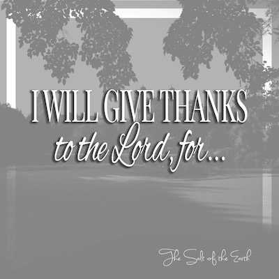 मैं इसके लिए प्रभु को धन्यवाद दूँगा....