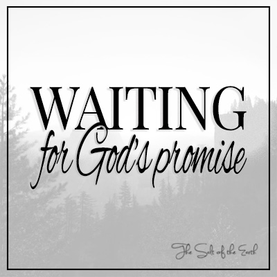 Waiting for God's promise to come to pass