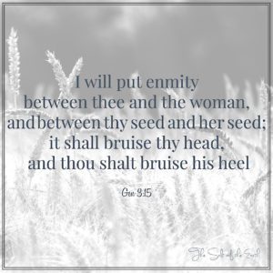 I will put enmity between you and the woman, between thy seed and her seed