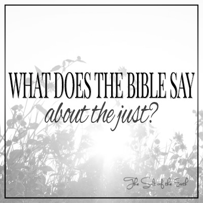 Was sagt die Bibel über die Gerechten?