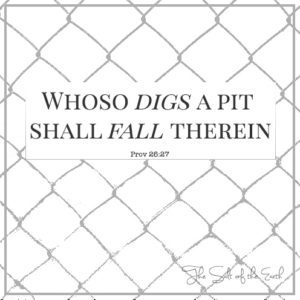 ho digs a pit shall fall therein