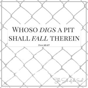 ho digs a pit shall fall therein