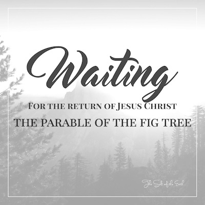 Meaning of the parable of the fig tree Matthew 24:32