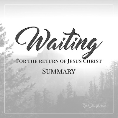 resumen del regreso de jesus