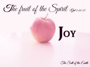The fruit Joy