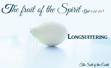 Плод долготерпения