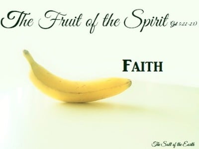 Плод веры