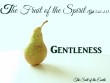 The fruit gentleness kindness