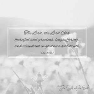 Господь Бог Своем доброта