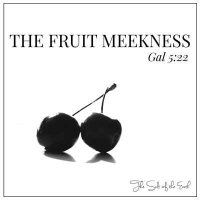What is the fruit meekness Galatians 5:22