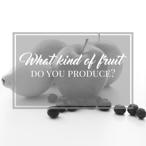 What kind of fruit do you produce
