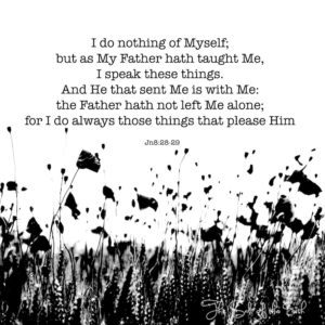 Я делаю то, чему Меня научил Отец