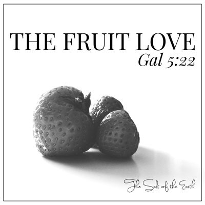 What is the fruit love Galatians 5:22