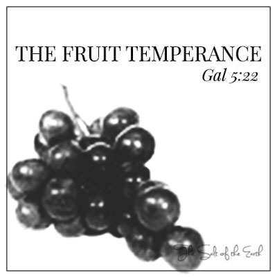 What is the fruit temperance Galatians 5:22