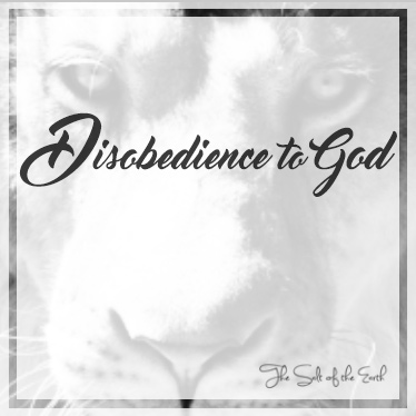 What does the Bible say about disobedience to God