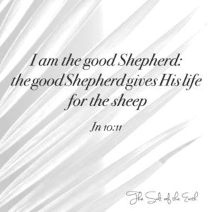 Jesus the good Shepherd