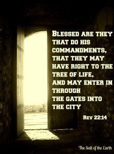 послушание Его заповедям, Введите Божий отдых