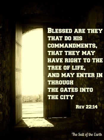 послушание Его заповедям