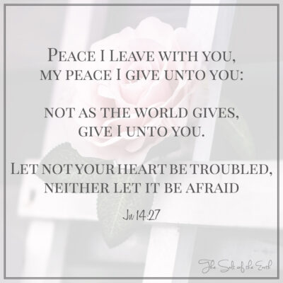Jan 14:27 Peace I leave with you My peace I give unto you: not as the world gives, give I unto you