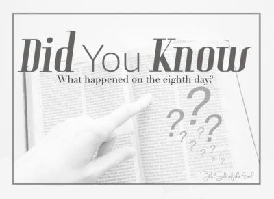 новое творение, что случилось на восьмой день