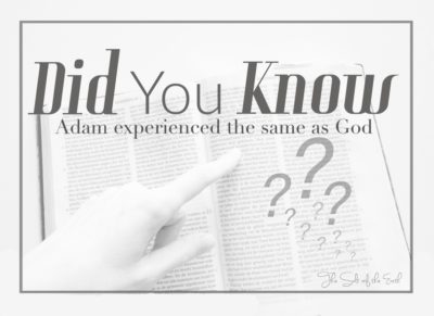 Adamo sperimentò la stessa cosa di Dio