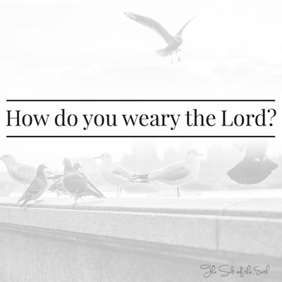 How do you weary the Lord