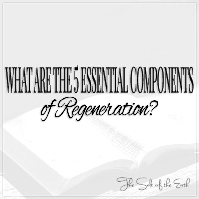 What are 5 essential components of regeneration?