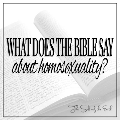 What does the Bible say about homosexuality