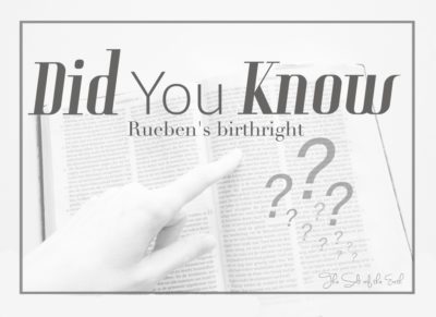Rueben's birthright, Рубен потерял право первородства