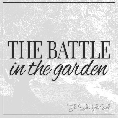 The battle in the garden