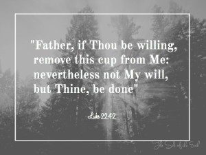 Битва в саду Гецемании, Отец, если Ты хочешь, удали от Меня эту чашу