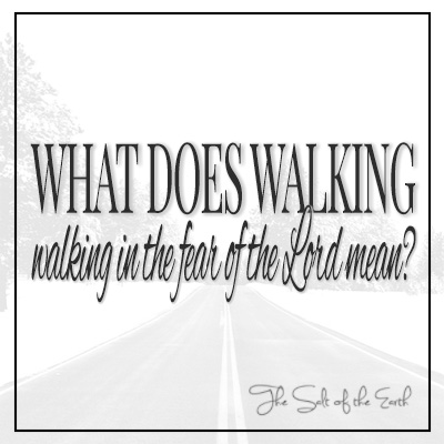 What does walking in the fear of the Lord mean?