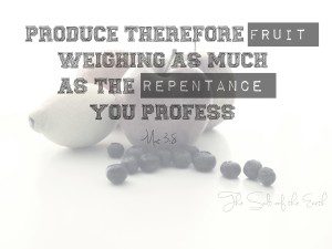 fruit of repentance