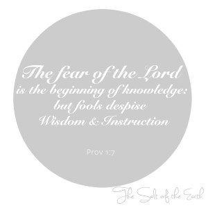 El temor del Señor es el principio del conocimiento.