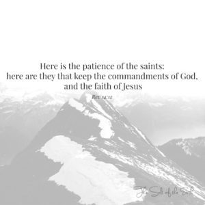 Patience of the saints keep the commandments